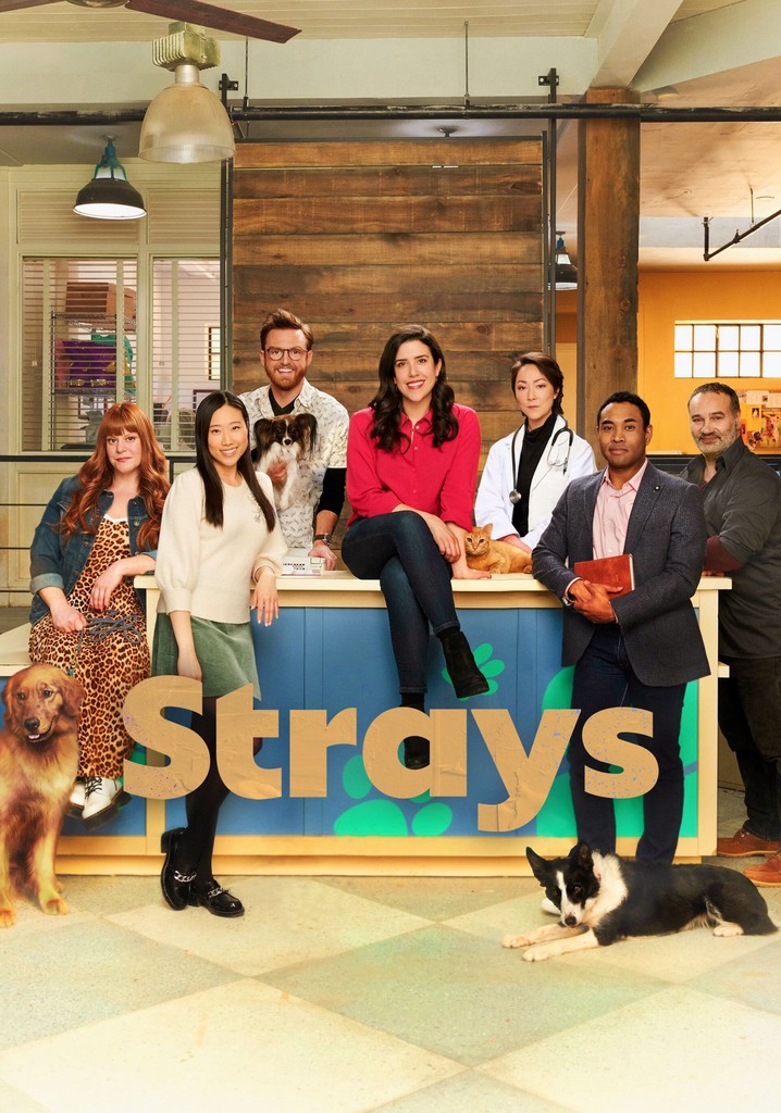 Strays watch tv show streaming online